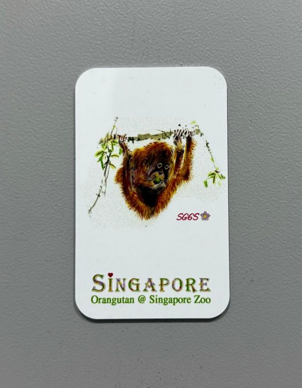 Fridge Magnet (Animals)